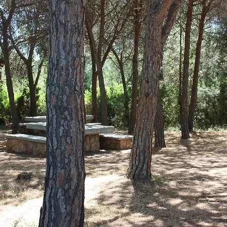 Sa Curcurica Cala Liberotto